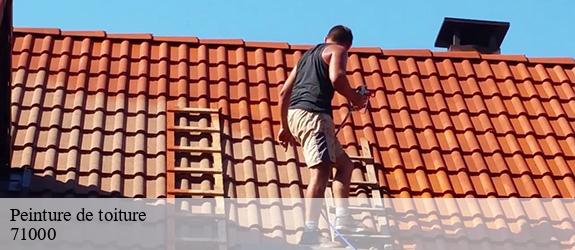 Peinture de toiture sennece-les-macon-71000 MCH Habitat