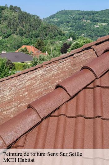 Peinture de toiture  sens-sur-seille-71330 MCH Habitat