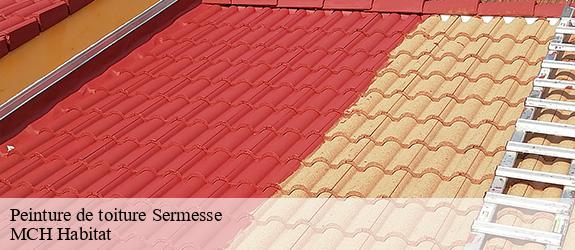 Peinture de toiture sermesse-71350 MCH Habitat
