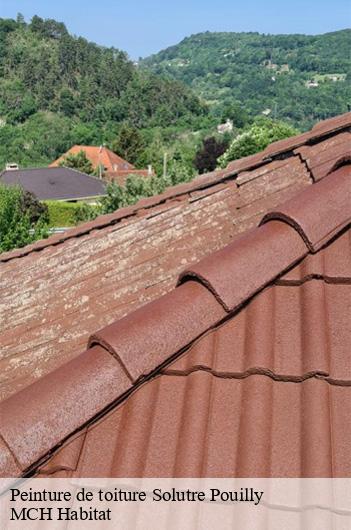 Peinture de toiture solutre-pouilly-71960 MCH Habitat