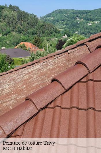 Peinture de toiture  trivy-71520 MCH Habitat
