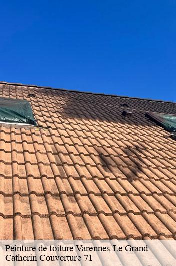 Peinture de toiture  varennes-le-grand-71240 Catherin Couverture 71