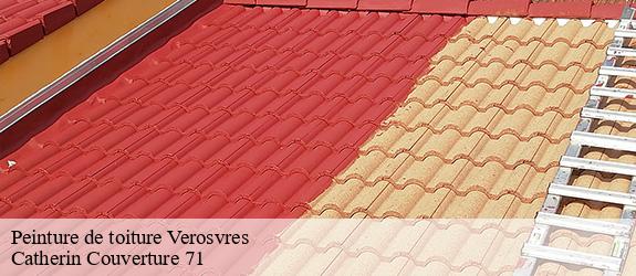 Peinture de toiture  verosvres-71220 Catherin Couverture 71
