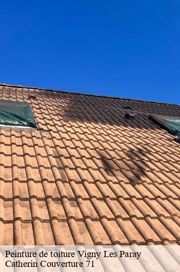 Peinture de toiture  vigny-les-paray-71160 Catherin Couverture 71