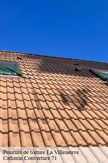 Peinture de toiture  la-villeneuve-71270 Catherin Couverture 71