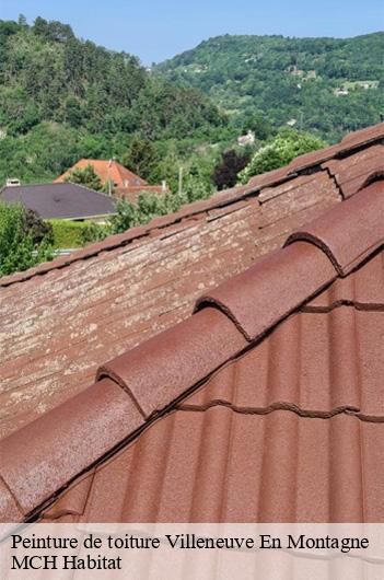 Peinture de toiture  villeneuve-en-montagne-71390 MCH Habitat