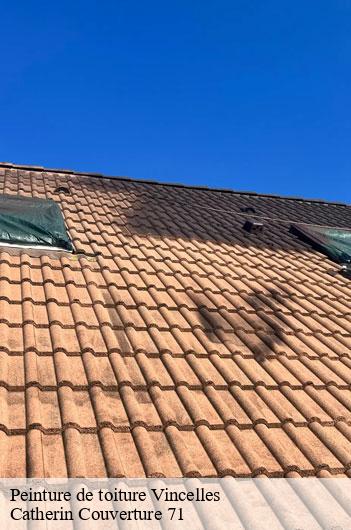 Peinture de toiture  vincelles-71500 Catherin Couverture 71
