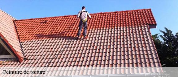 Peinture de toiture  vitry-les-cluny-71250 MCH Habitat