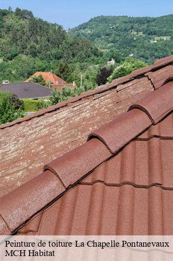 Peinture de toiture la-chapelle-pontanevaux-71570 MCH Habitat
