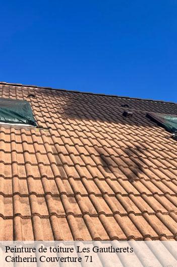 Peinture de toiture  les-gautherets-71230 Catherin Couverture 71