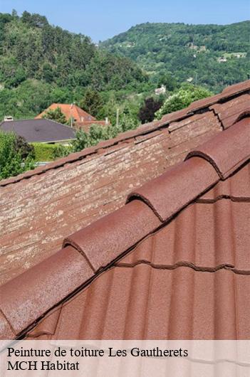 Peinture de toiture les-gautherets-71230 MCH Habitat