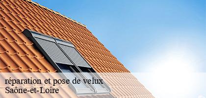réparation et pose de velux    MCH Habitat