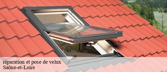 réparation et pose de velux    MCH Habitat