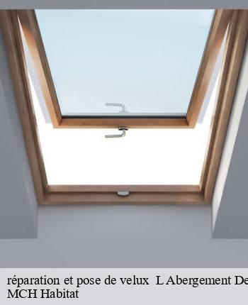 réparation et pose de velux l-abergement-de-cuisery-71290 MCH Habitat