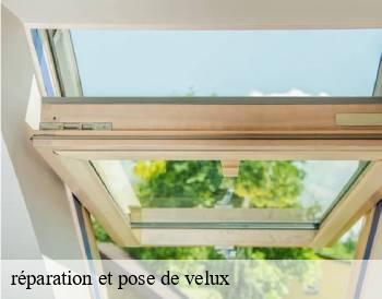 réparation et pose de velux   autun-71400 MCH Habitat