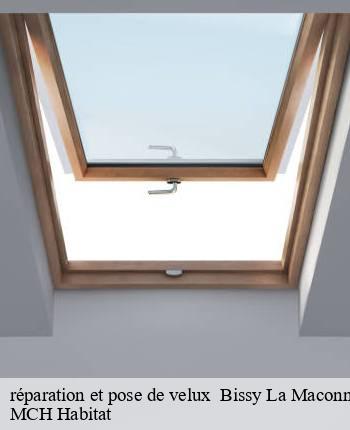 réparation et pose de velux bissy-la-maconnaise-71260 MCH Habitat
