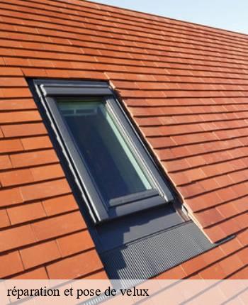 réparation et pose de velux   chissey-en-morvan-71540 MCH Habitat