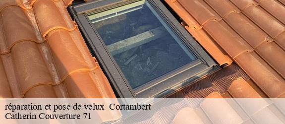réparation et pose de velux   cortambert-71250 Catherin Couverture 71