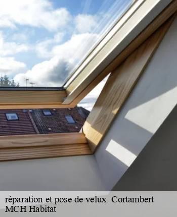 réparation et pose de velux   cortambert-71250 MCH Habitat