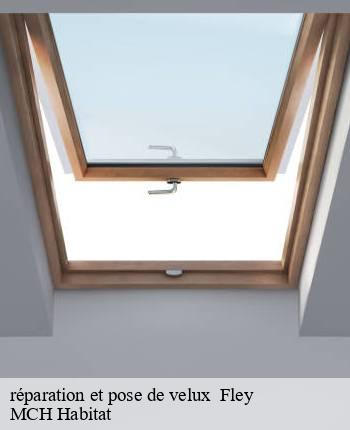 réparation et pose de velux   fley-71390 MCH Habitat