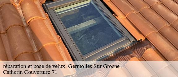 réparation et pose de velux   germolles-sur-grosne-71630 Catherin Couverture 71
