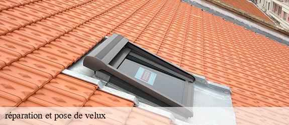 réparation et pose de velux   marcilly-la-gueurce-71120 Catherin Couverture 71