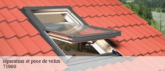 réparation et pose de velux   milly-lamartine-71960 Catherin Couverture 71