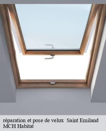 réparation et pose de velux saint-emiland-71490 MCH Habitat