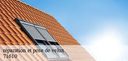 réparation et pose de velux   saint-julien-de-civry-71610 Catherin Couverture 71