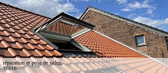 réparation et pose de velux   saint-julien-de-civry-71610 Catherin Couverture 71