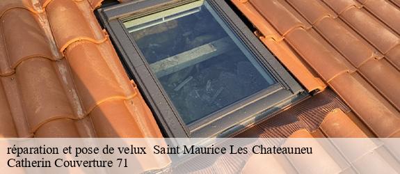 réparation et pose de velux   saint-maurice-les-chateauneu-71740 Catherin Couverture 71