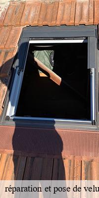 réparation et pose de velux   saint-pierre-le-vieux-71520 Catherin Couverture 71