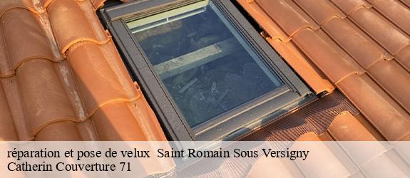 réparation et pose de velux   saint-romain-sous-versigny-71420 Catherin Couverture 71