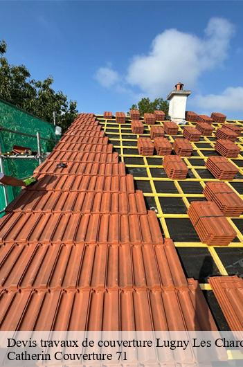 Devis travaux de couverture  lugny-les-charolles-71120 Catherin Couverture 71