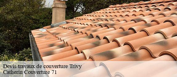 Devis travaux de couverture trivy-71520 Catherin Couverture 71