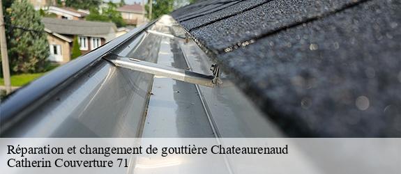 Réparation et changement de gouttière  chateaurenaud-71500 Catherin Couverture 71