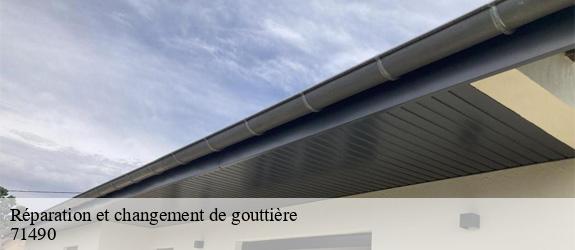 Réparation et changement de gouttière  creot-71490 Catherin Couverture 71