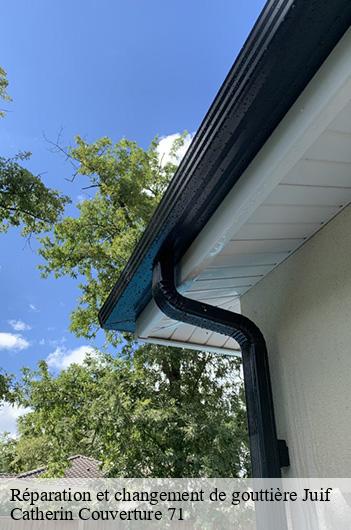 Réparation et changement de gouttière  juif-71440 Catherin Couverture 71