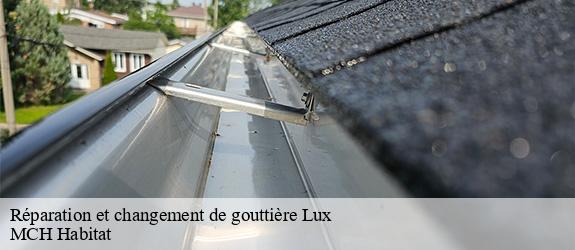 Réparation et changement de gouttière  lux-71100 MCH Habitat