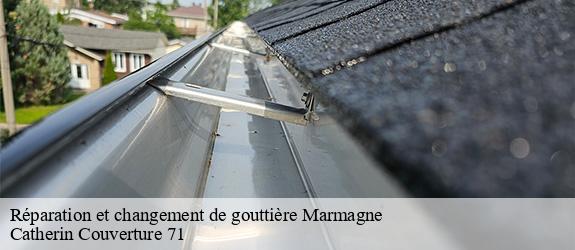 Réparation et changement de gouttière  marmagne-71710 Catherin Couverture 71