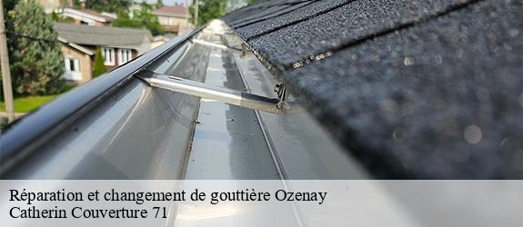 Réparation et changement de gouttière  ozenay-71700 Catherin Couverture 71
