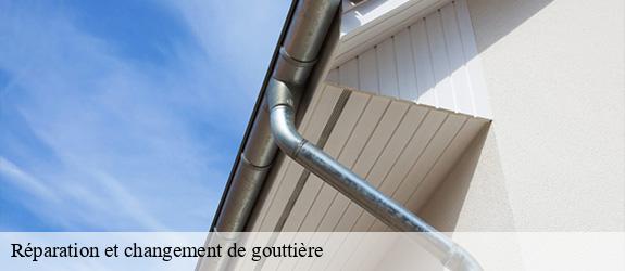 Réparation et changement de gouttière  saint-martin-de-commune-71490 Catherin Couverture 71