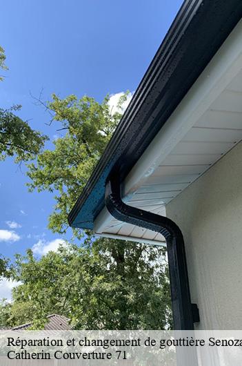 Réparation et changement de gouttière  senozan-71260 Catherin Couverture 71