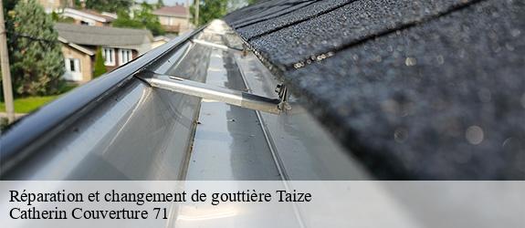 Réparation et changement de gouttière  taize-71250 Catherin Couverture 71