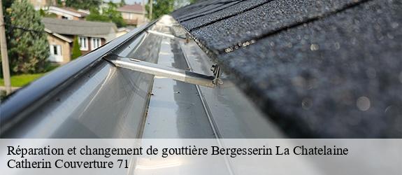 Réparation et changement de gouttière  bergesserin-la-chatelaine-71250 Catherin Couverture 71