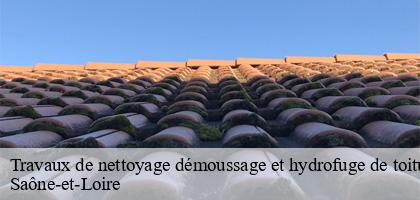 Travaux de nettoyage démoussage et hydrofuge de toiture et façade   Catherin Couverture 71