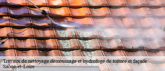 Travaux de nettoyage démoussage et hydrofuge de toiture et façade   Catherin Couverture 71