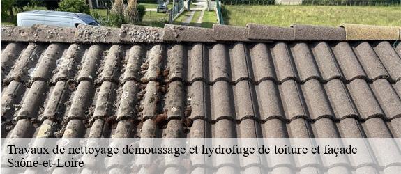 Travaux de nettoyage démoussage et hydrofuge de toiture et façade   MCH Habitat