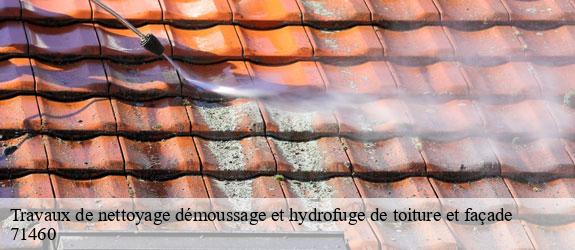 Travaux de nettoyage démoussage et hydrofuge de toiture et façade  ameugny-71460 Catherin Couverture 71