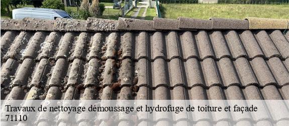 Travaux de nettoyage démoussage et hydrofuge de toiture et façade  chambilly-71110 MCH Habitat